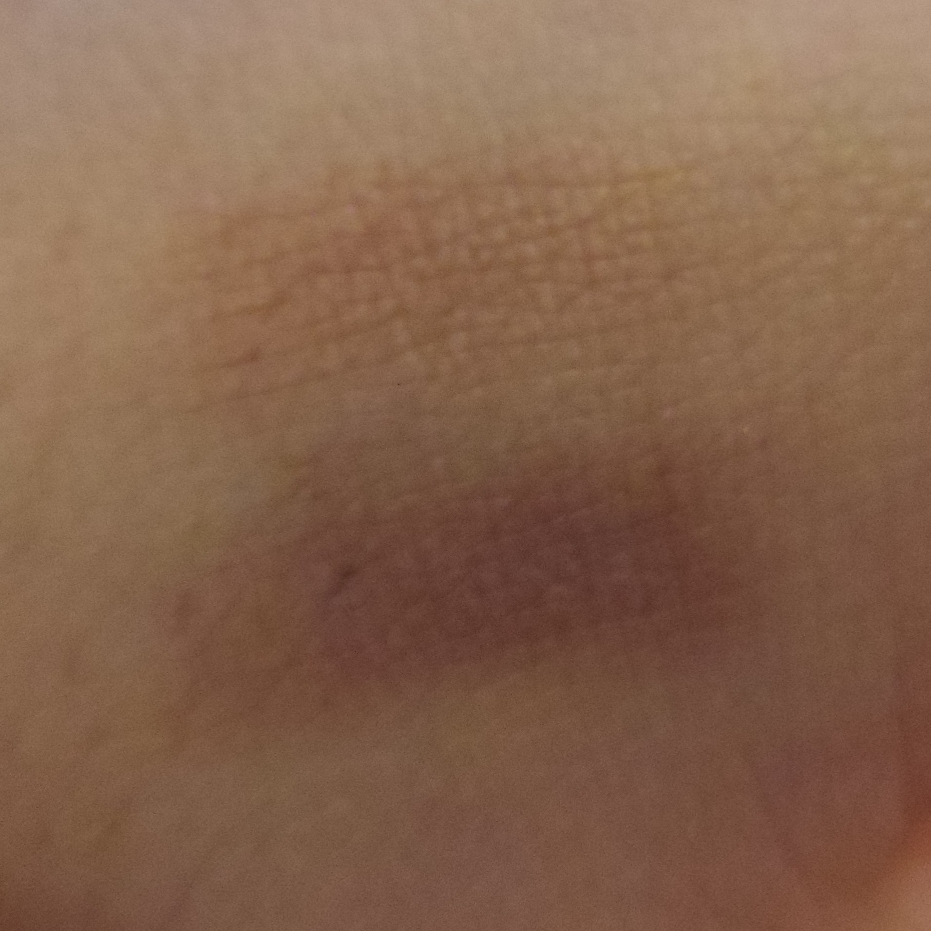 so susan eyebrow powder